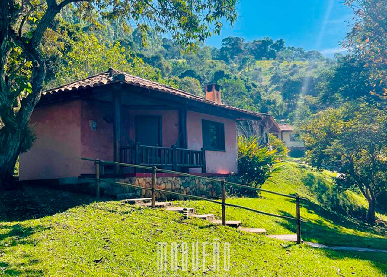 Galeria de fotos