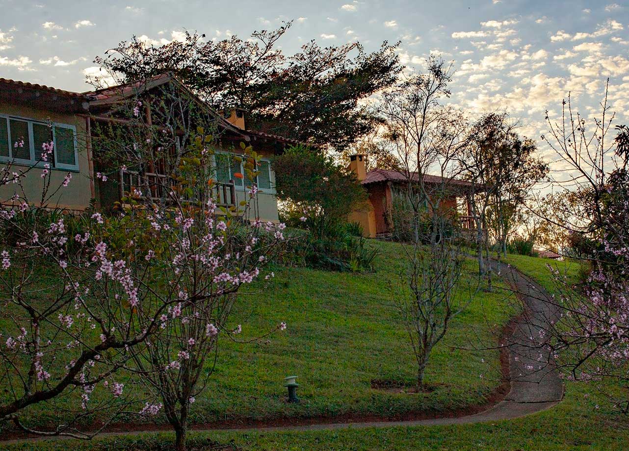 Galeria de fotos